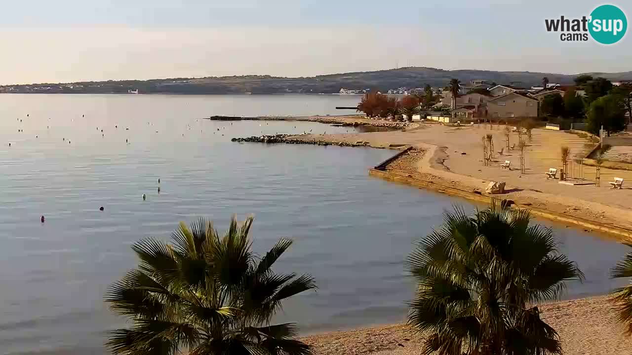 Kamera v živo Vir – Plaža