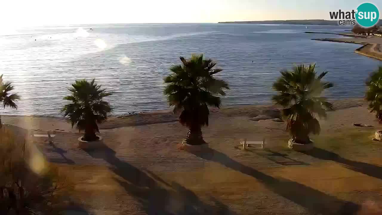 Webcam Vir – Strand