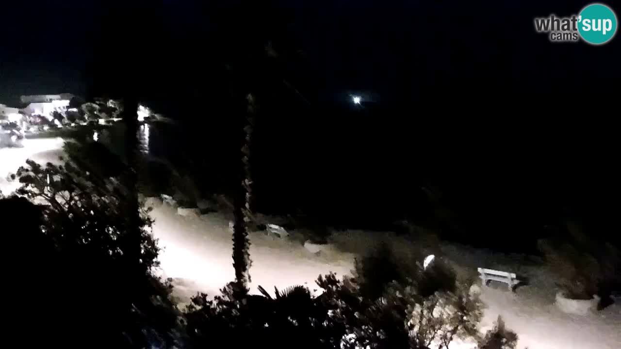 Live cam Vir – Plage