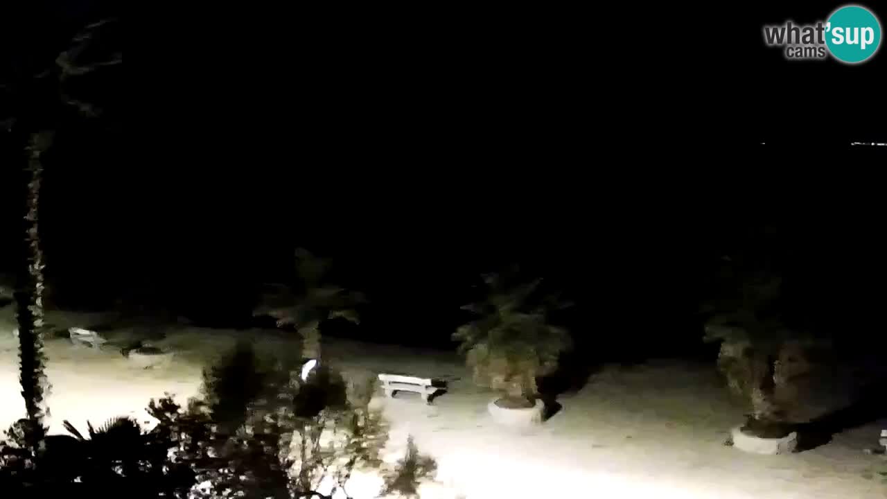 Live cam Vir – Plage