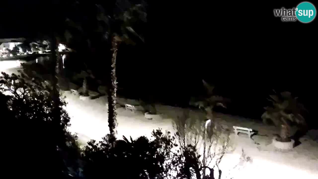 Web kamera Vir – Plaža