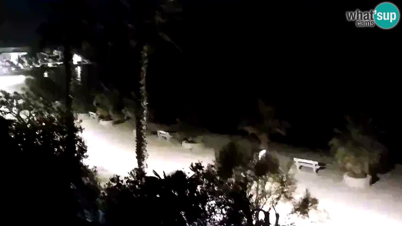 Live cam Vir – Plage