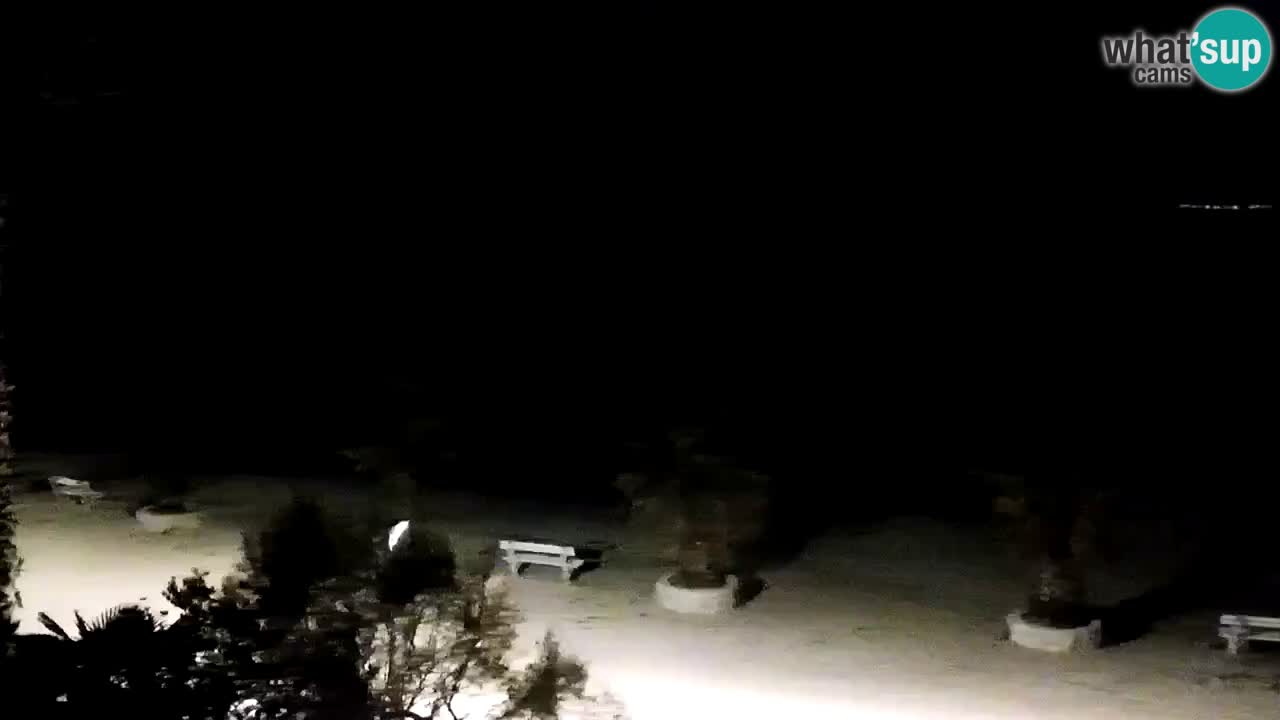 Kamera v živo Vir – Plaža