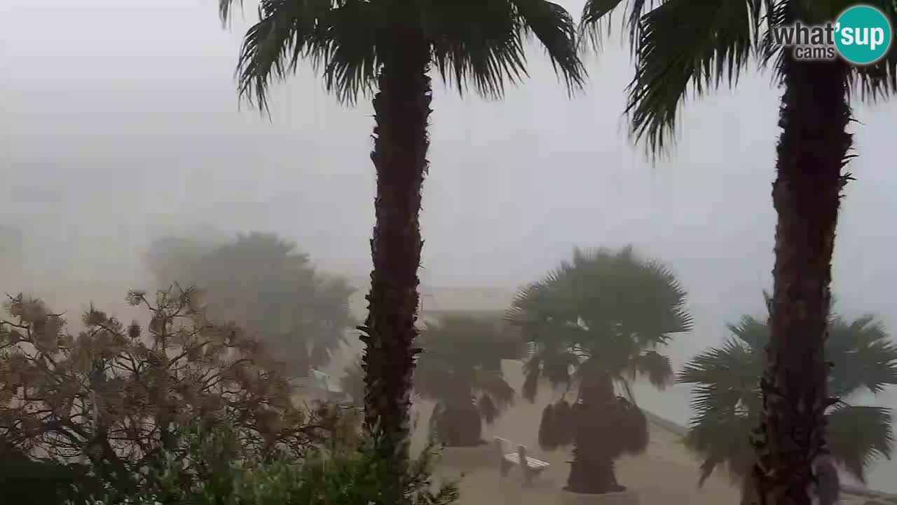 Webcam Vir – Spiaggia