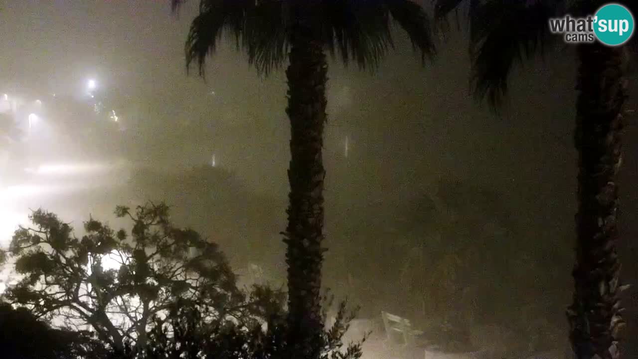 Kamera v živo Vir – Plaža