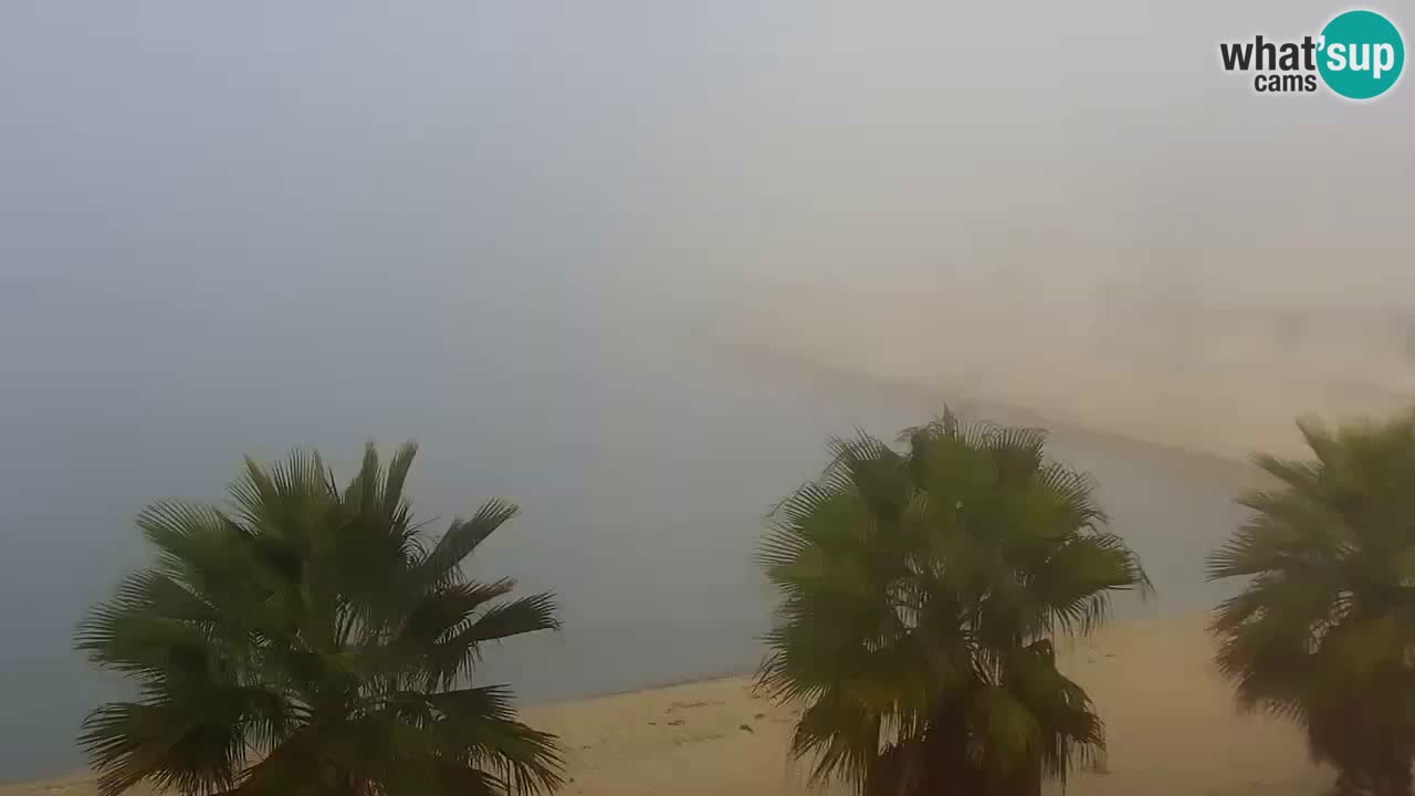 Webcam Vir – Strand