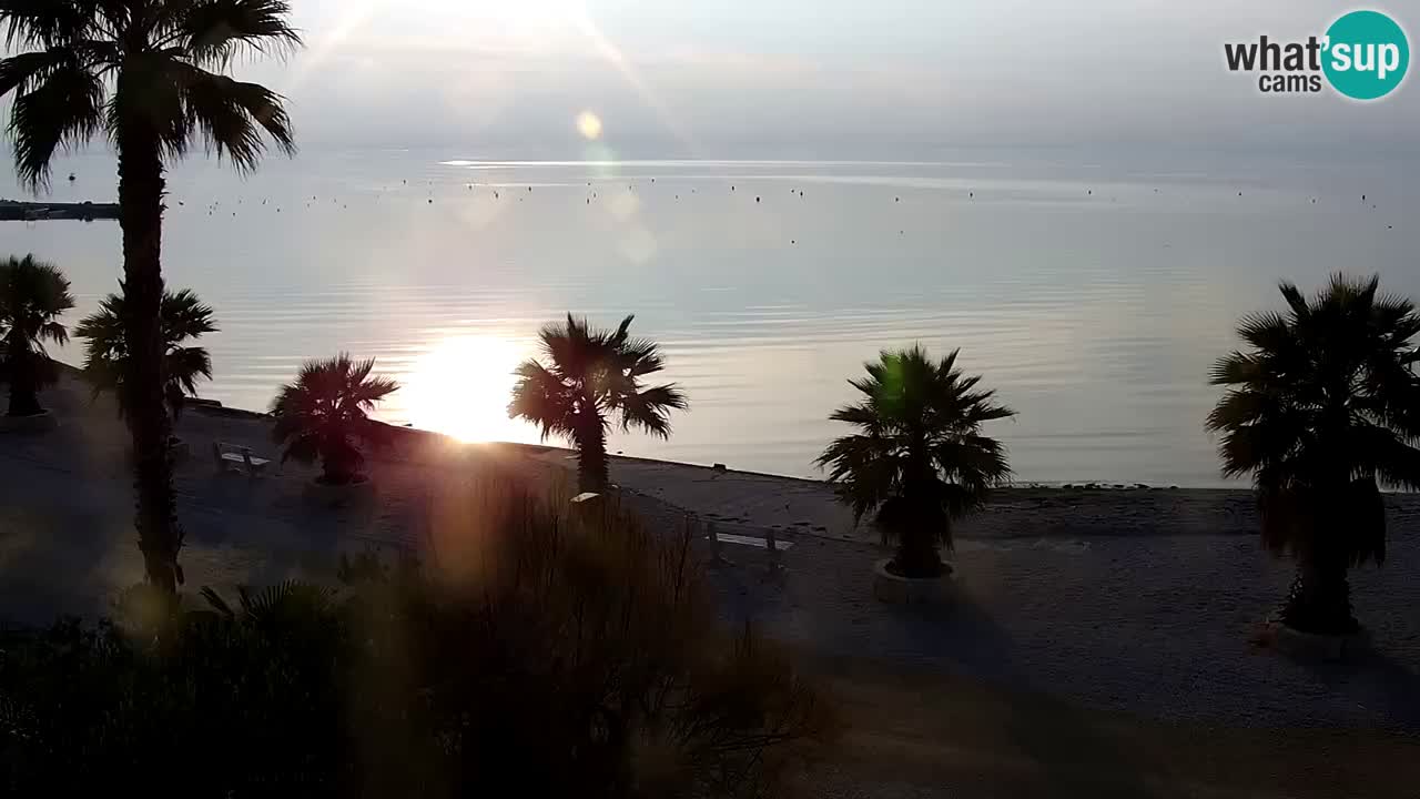 Webcam Vir – Strand