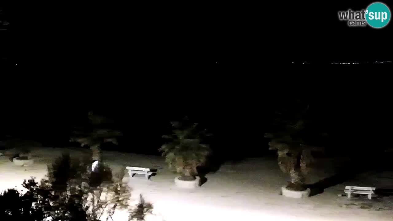 Kamera v živo Vir – Plaža