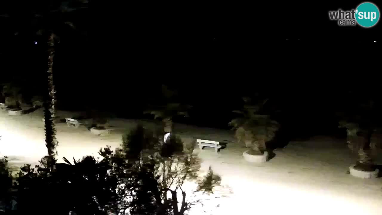 Webcam Vir – Spiaggia