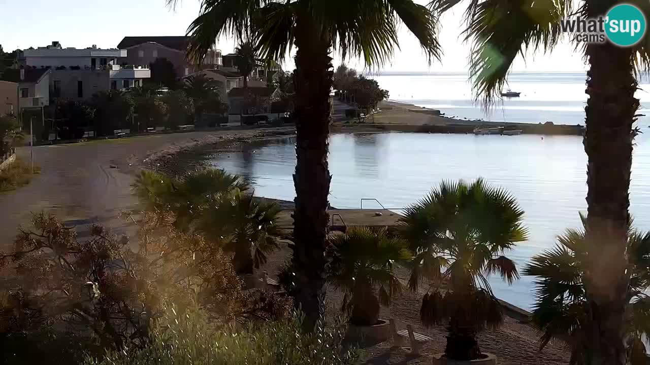 Web kamera Vir – Plaža