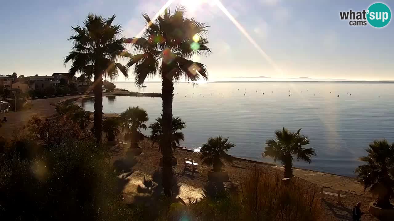 Live cam Vir – Plage