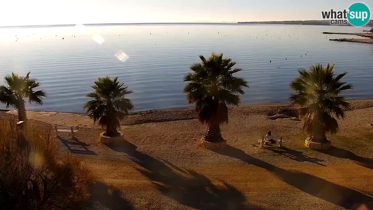 Live cam Vir – Plage