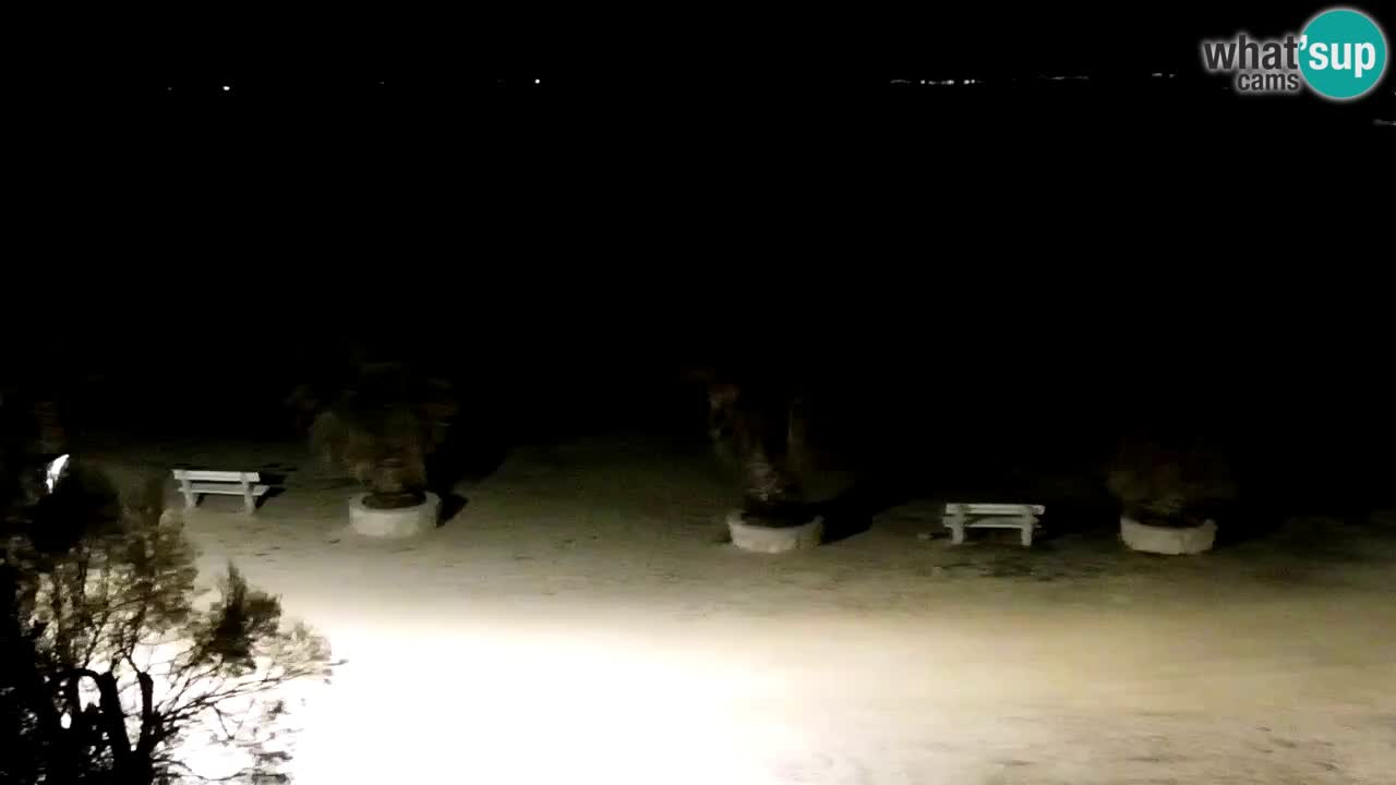 Live cam Vir – Plage