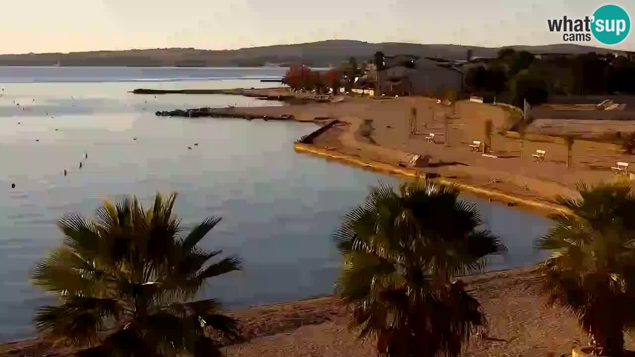 Kamera v živo Vir – Plaža