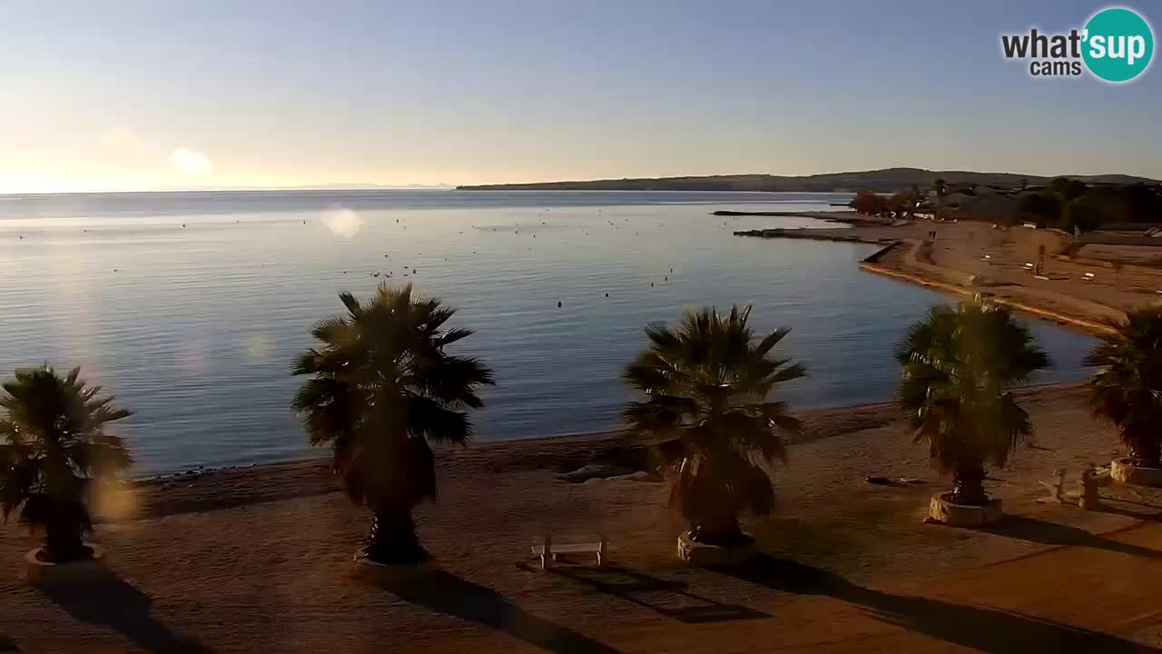 Live cam Vir – Plage