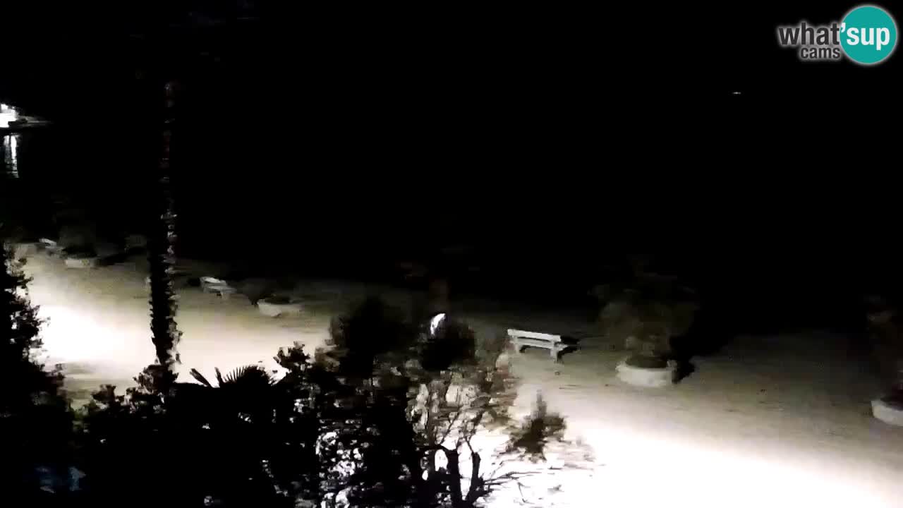 Webcam Vir – Strand