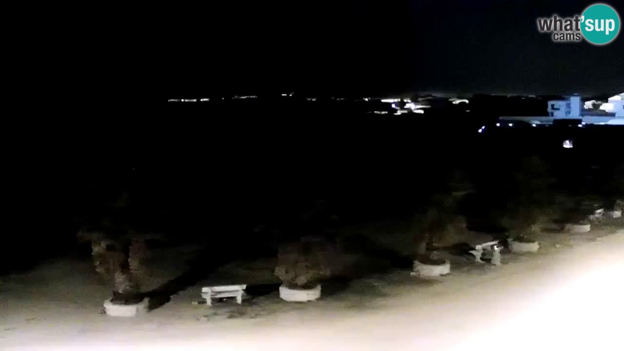 Live cam Vir – Plage