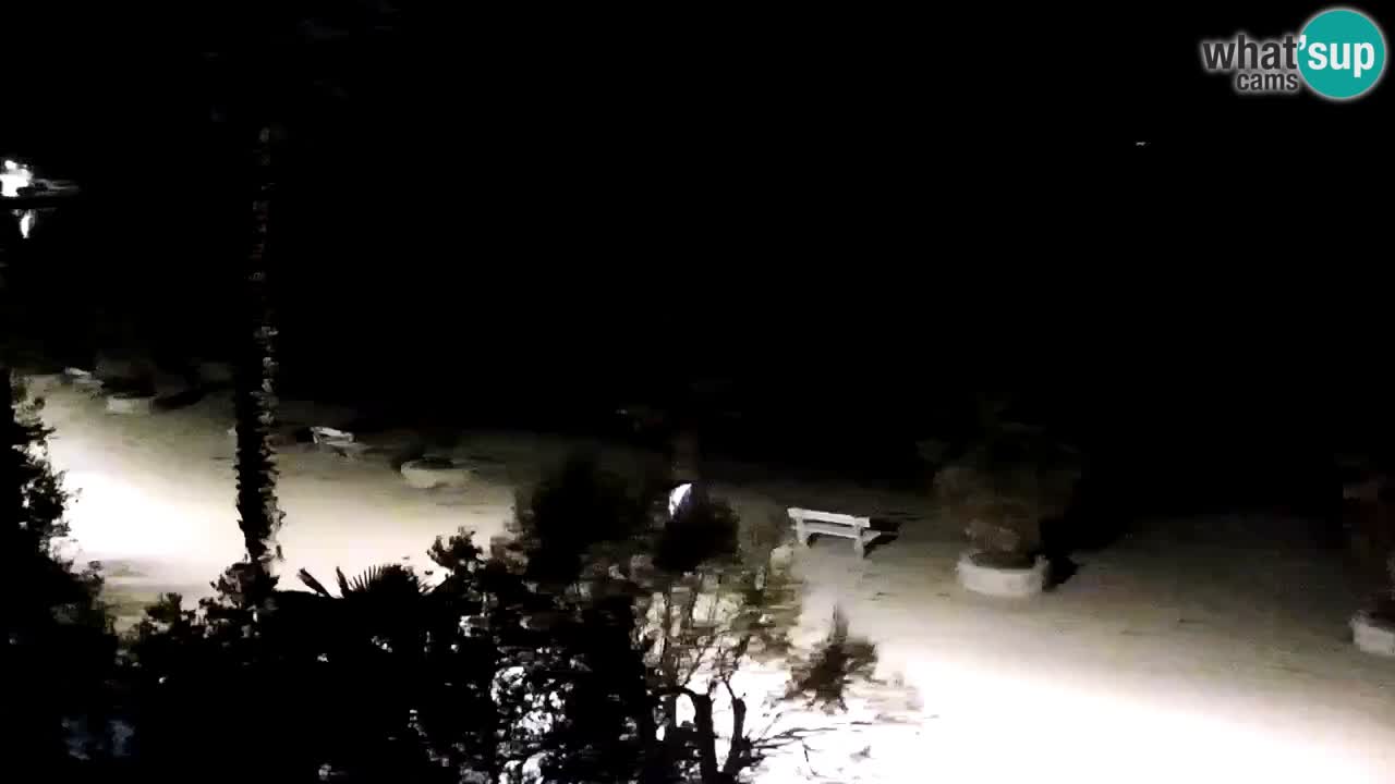 Web kamera Vir – Plaža