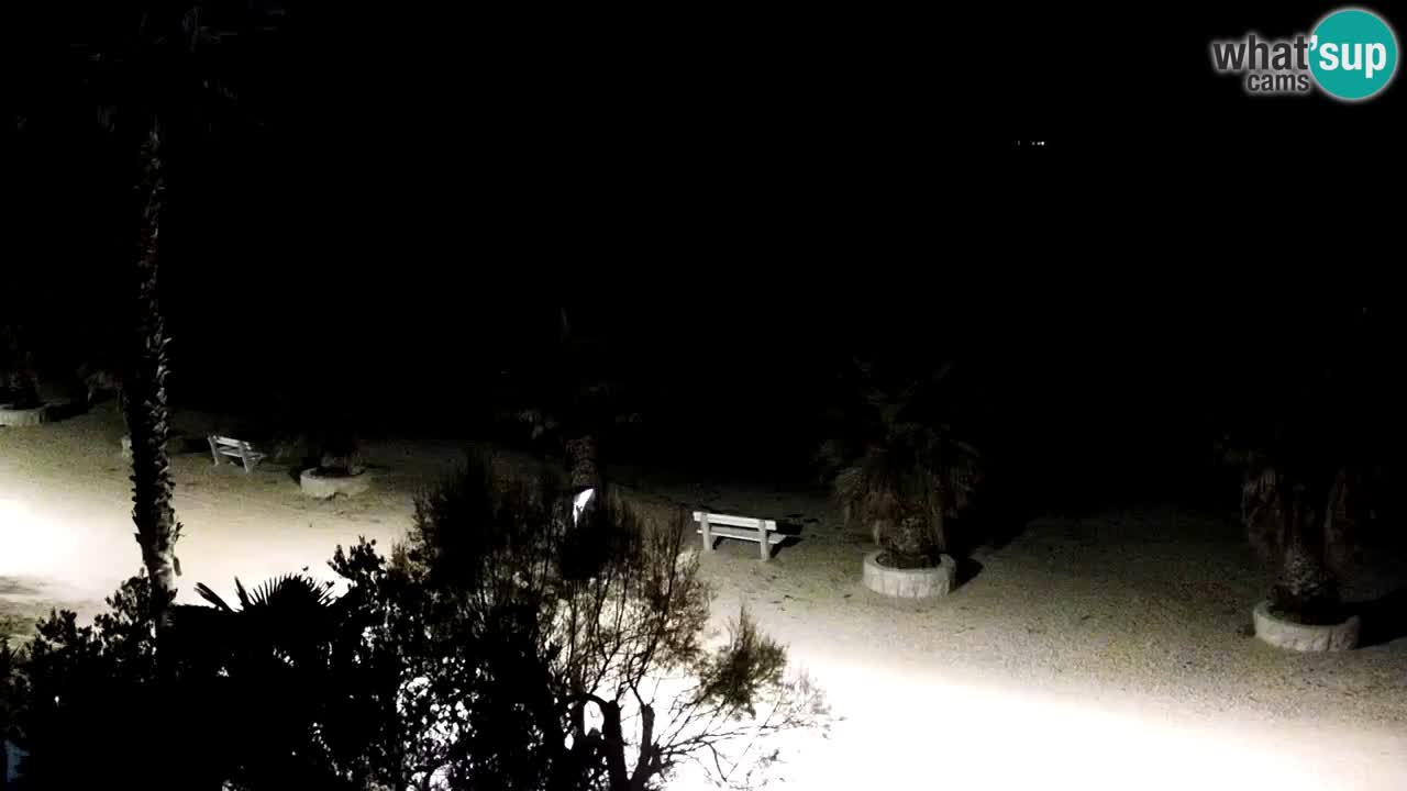 Kamera v živo Vir – Plaža