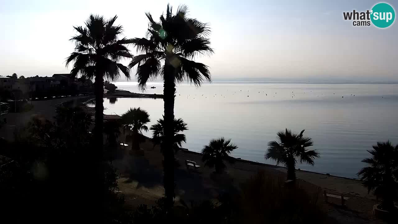 Live cam Vir – Plage