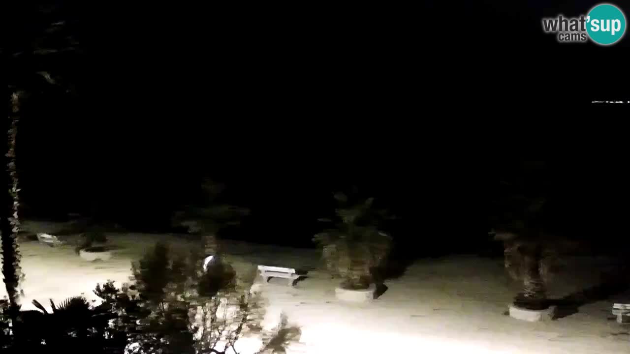 Webcam Vir – Strand