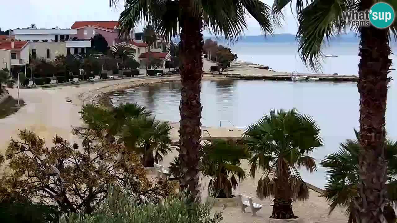 Live cam Vir – Plage