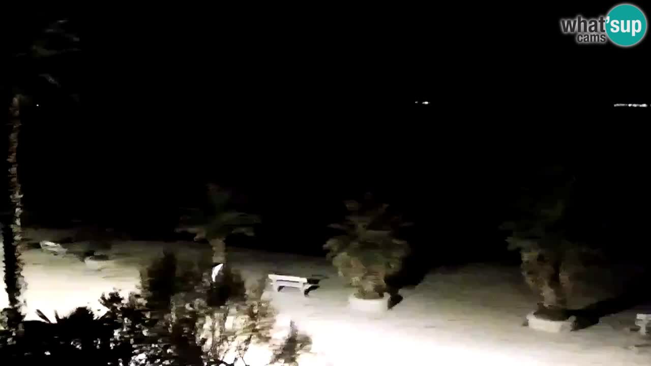 Kamera v živo Vir – Plaža