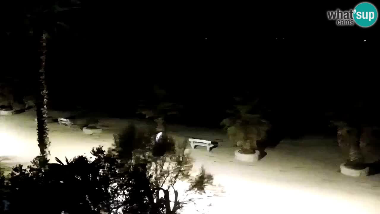 Webcam Vir – Strand