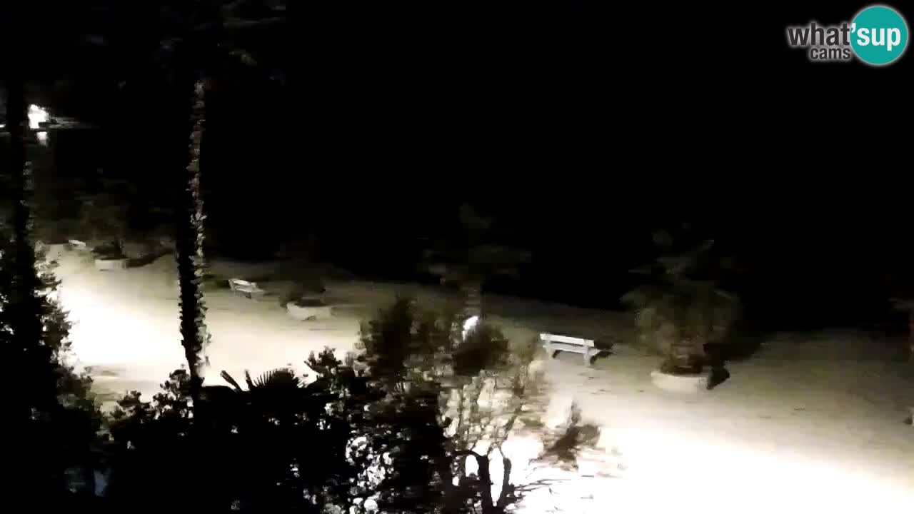 Live cam Vir – Plage