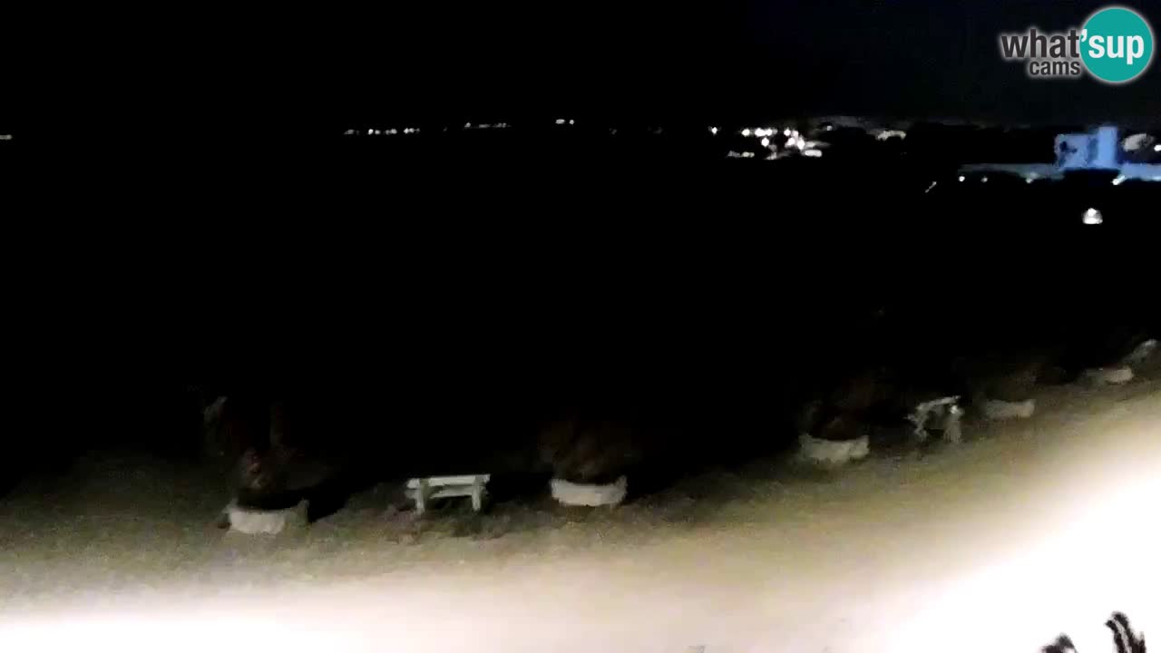 Live cam Vir – Plage