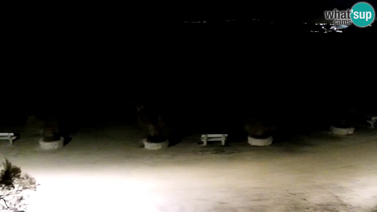 Live cam Vir – Plage