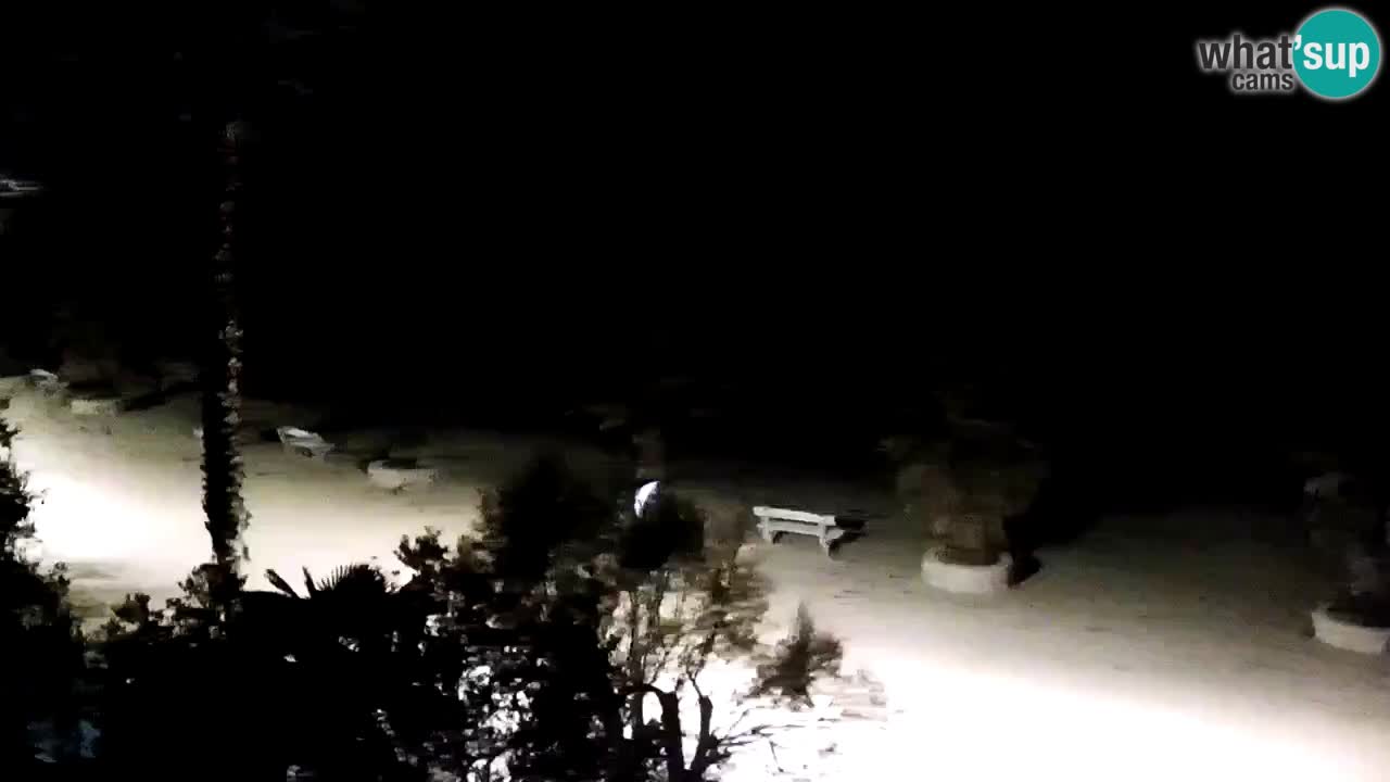 Web kamera Vir – Plaža