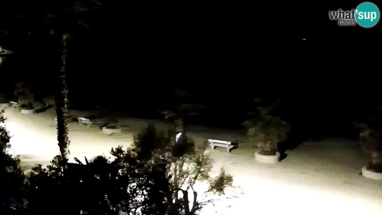 Webcam Vir – Strand