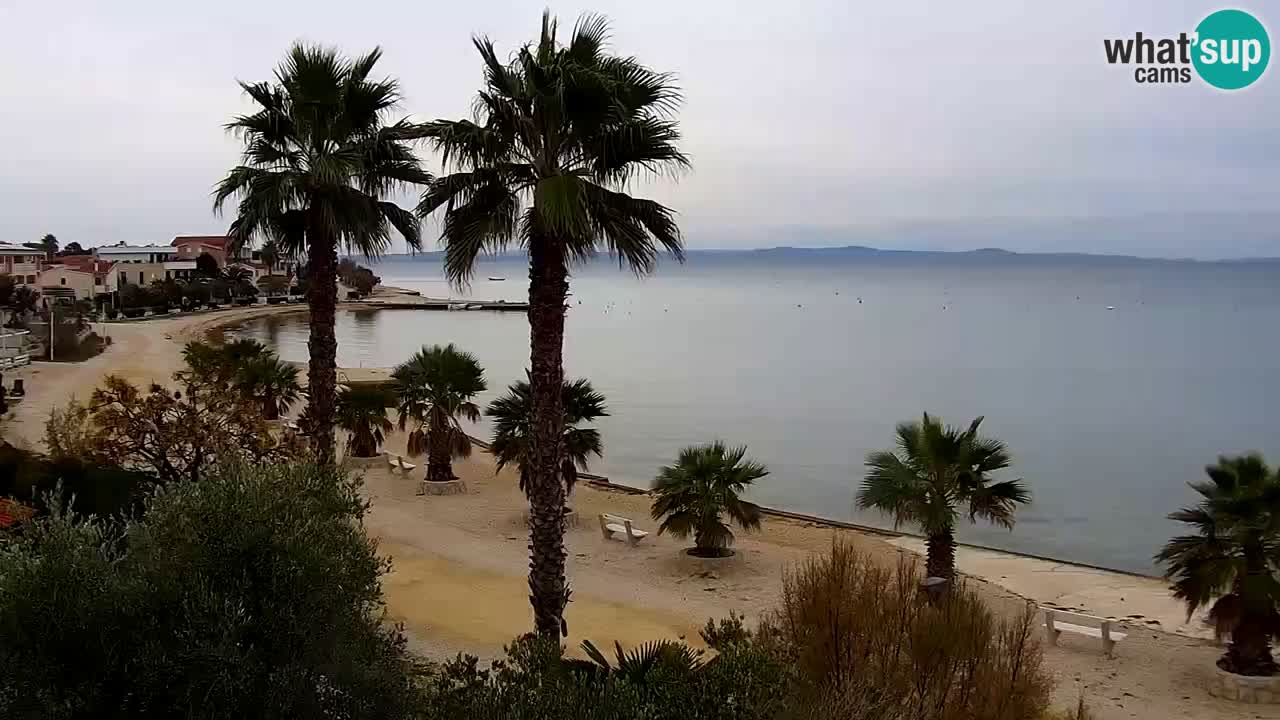 Webcam Vir – Spiaggia