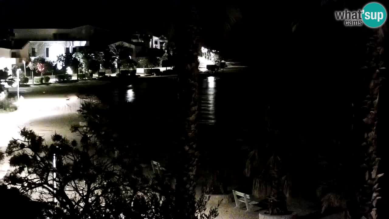 Live cam Vir – Plage