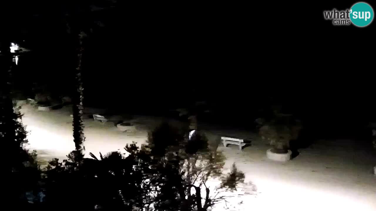 Webcam Vir – Strand