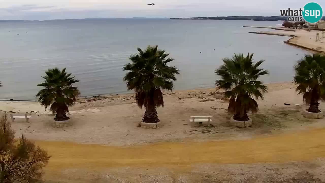 Web kamera Vir – Plaža