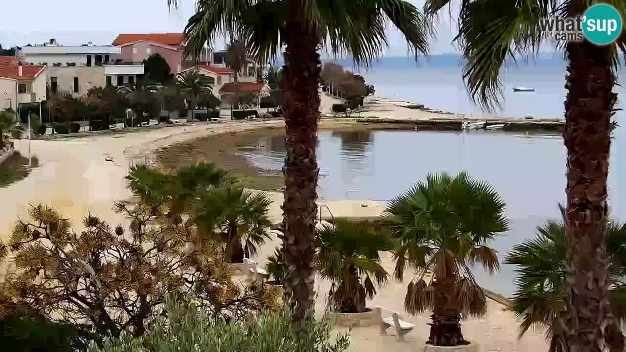 Live cam Vir – Plage