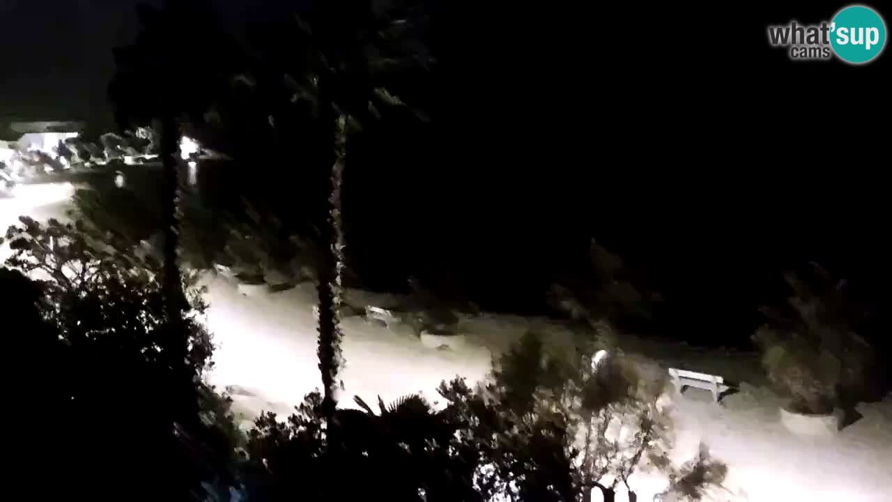 Live cam Vir – Plage