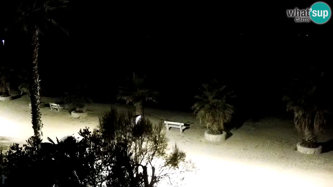 Webcam Vir – Strand