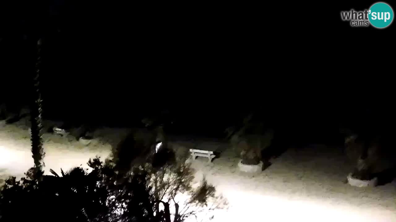 Web kamera Vir – Plaža