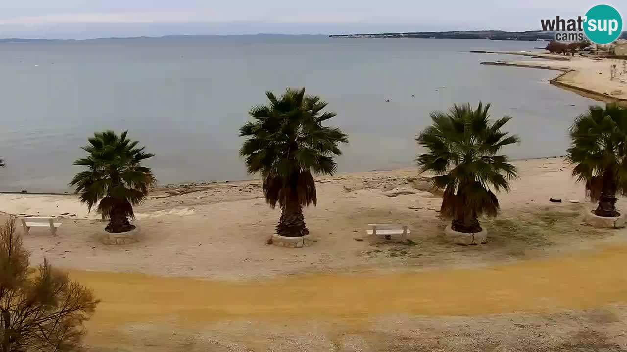 Webcam Vir – Spiaggia