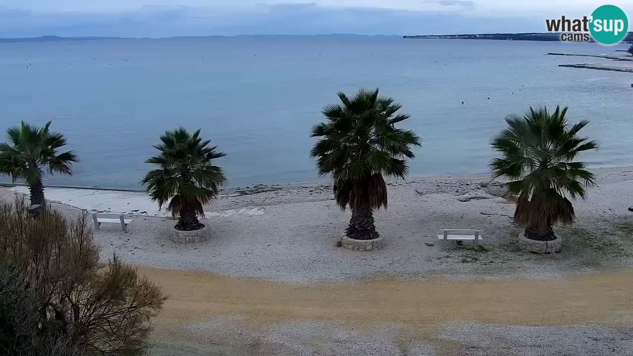 Live cam Vir – Plage