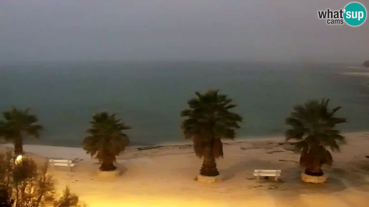 Kamera v živo Vir – Plaža