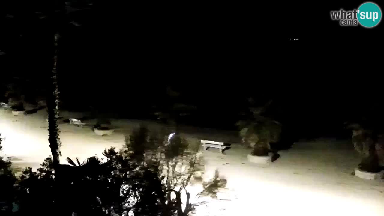 Webcam Vir – Spiaggia