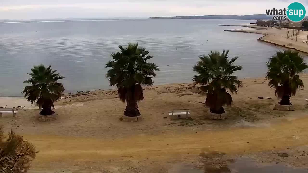 Webcam Vir – Strand