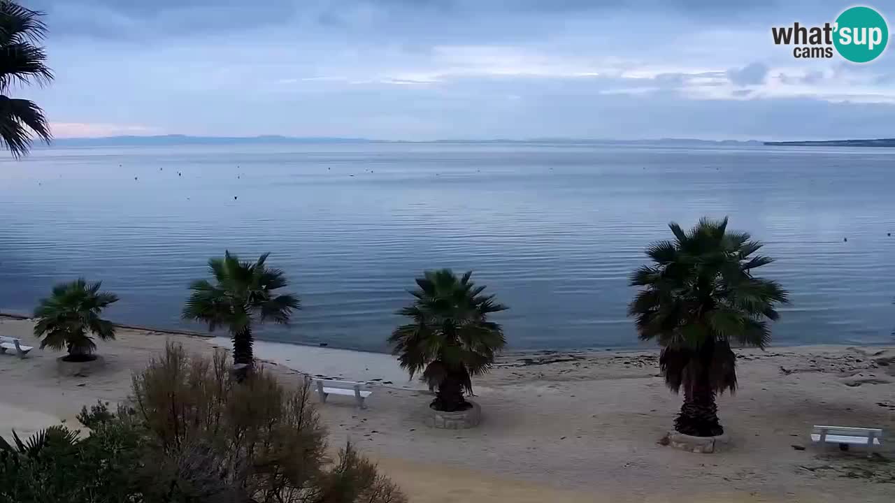 Web kamera Vir – Plaža