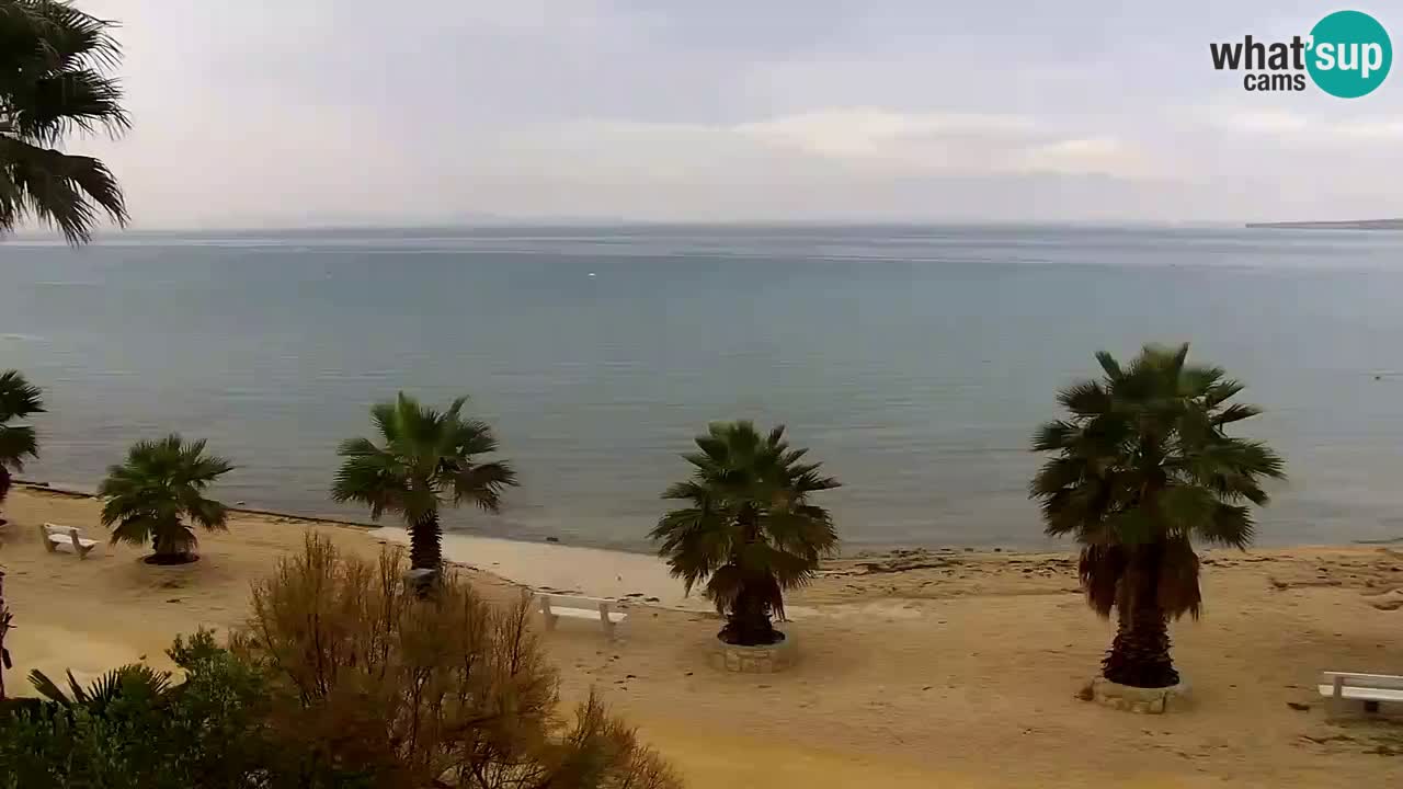 Live cam Vir – Plage