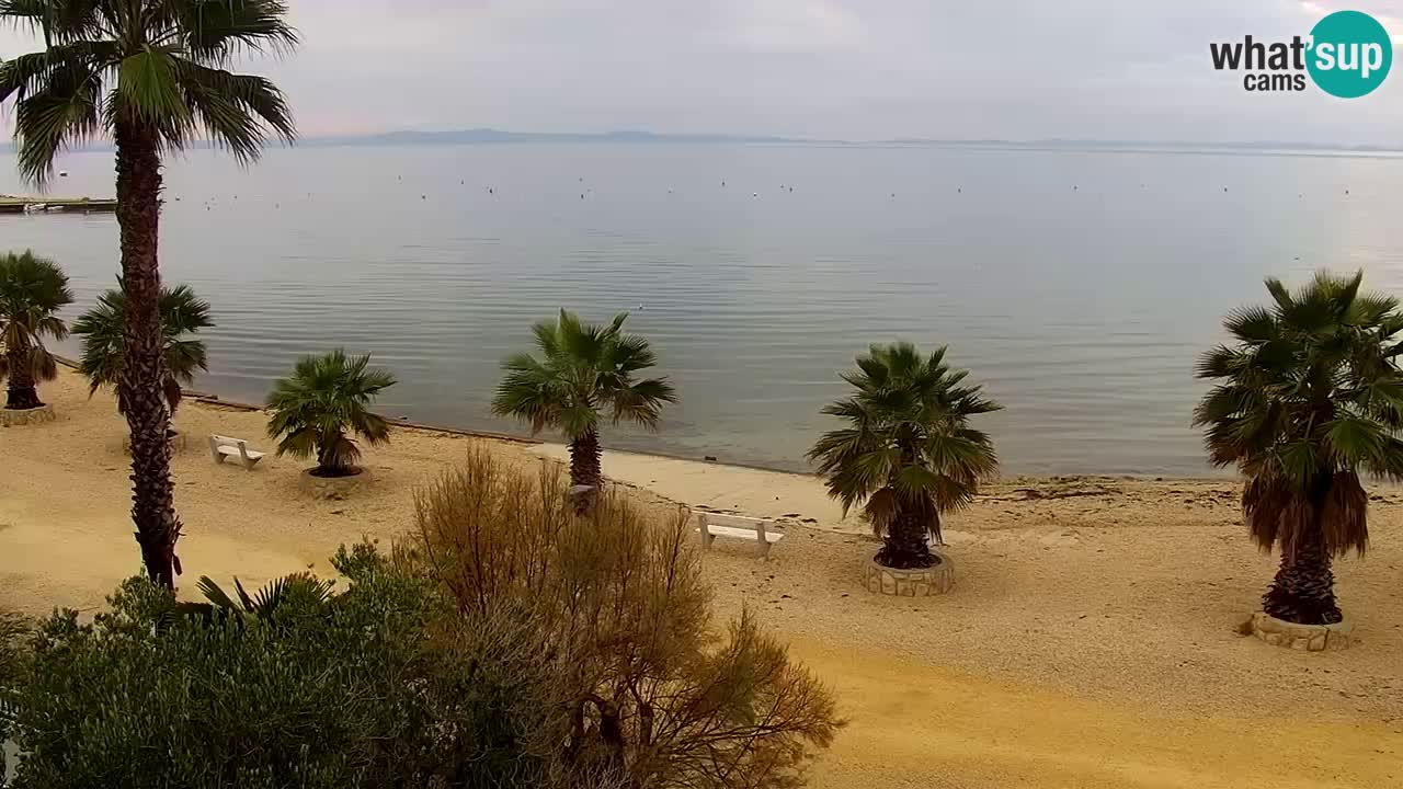 Web kamera Vir – Plaža