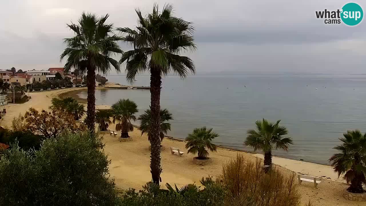 Web kamera Vir – Plaža